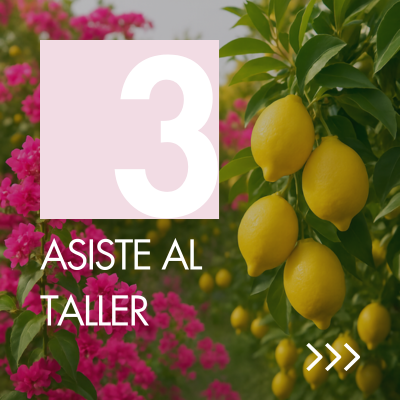 Asiste al taller